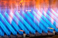 Ewell gas fired boilers